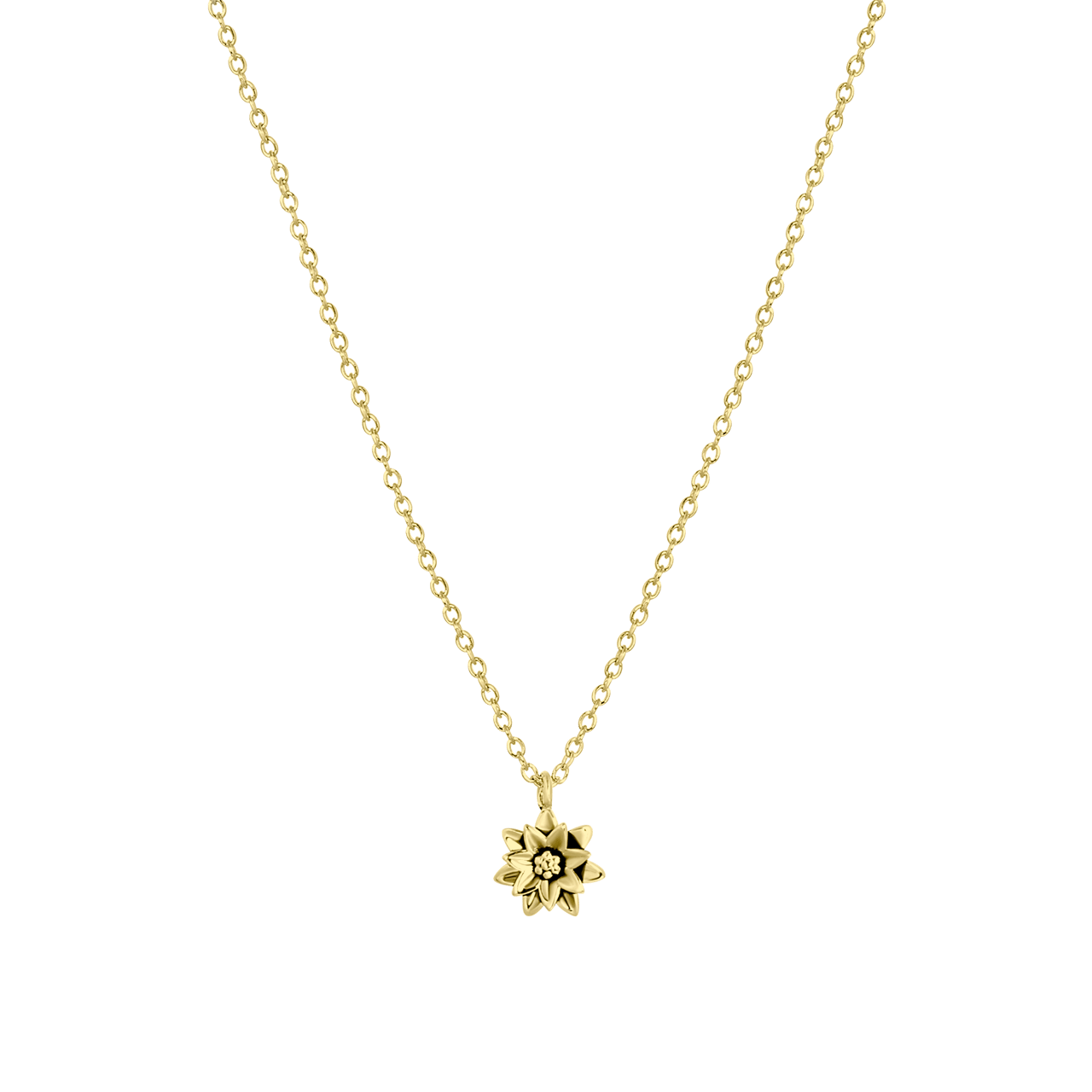 Zilveren goldplated ketting&hanger geboortebloem