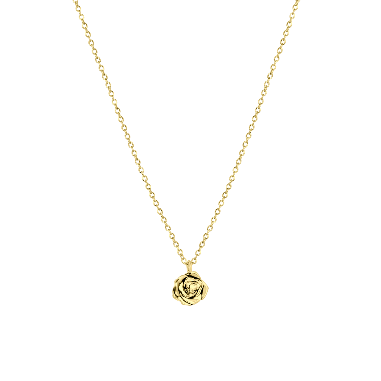 Zilveren goldplated ketting&hanger geboortebloem