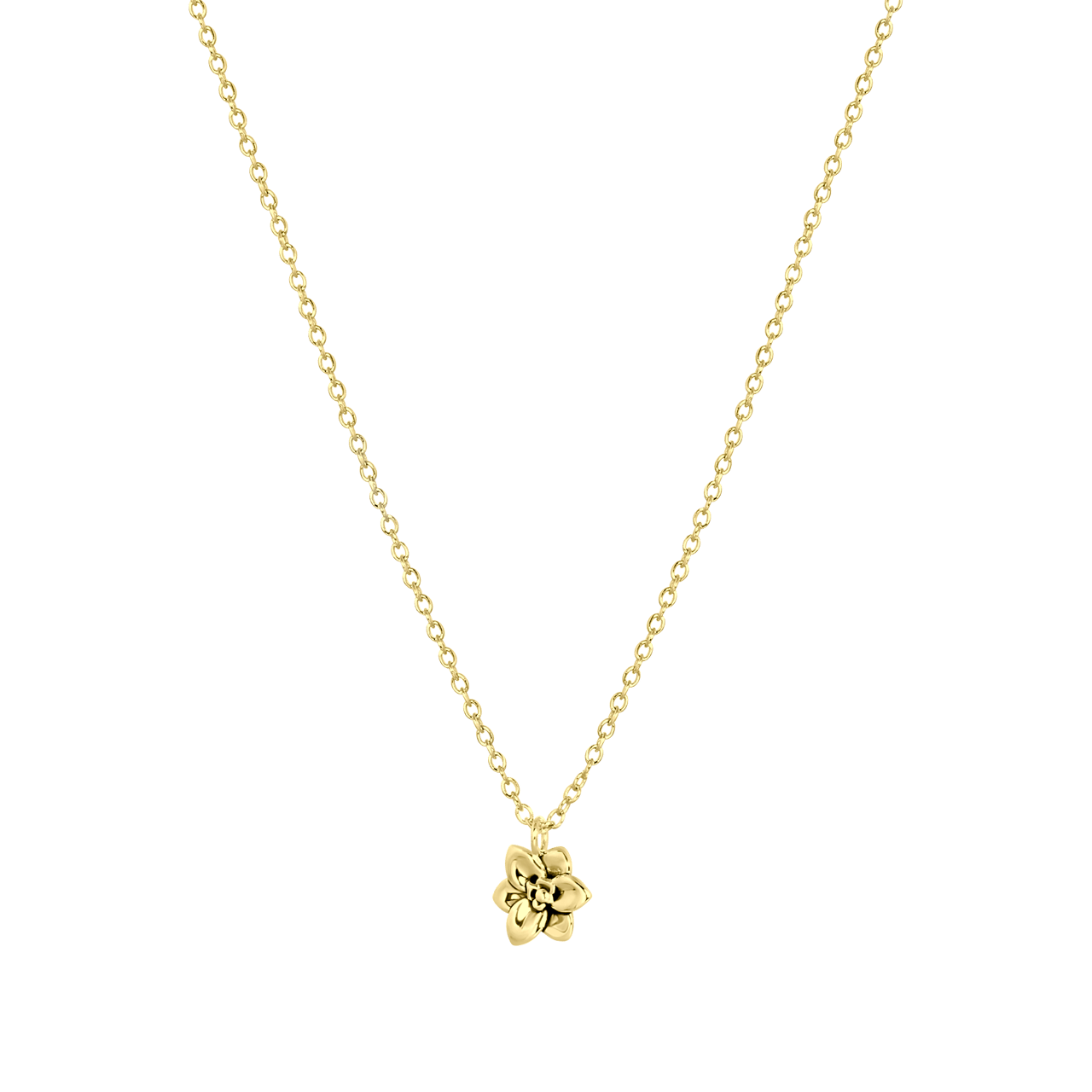 Zilveren goldplated ketting&hanger geboortebloem