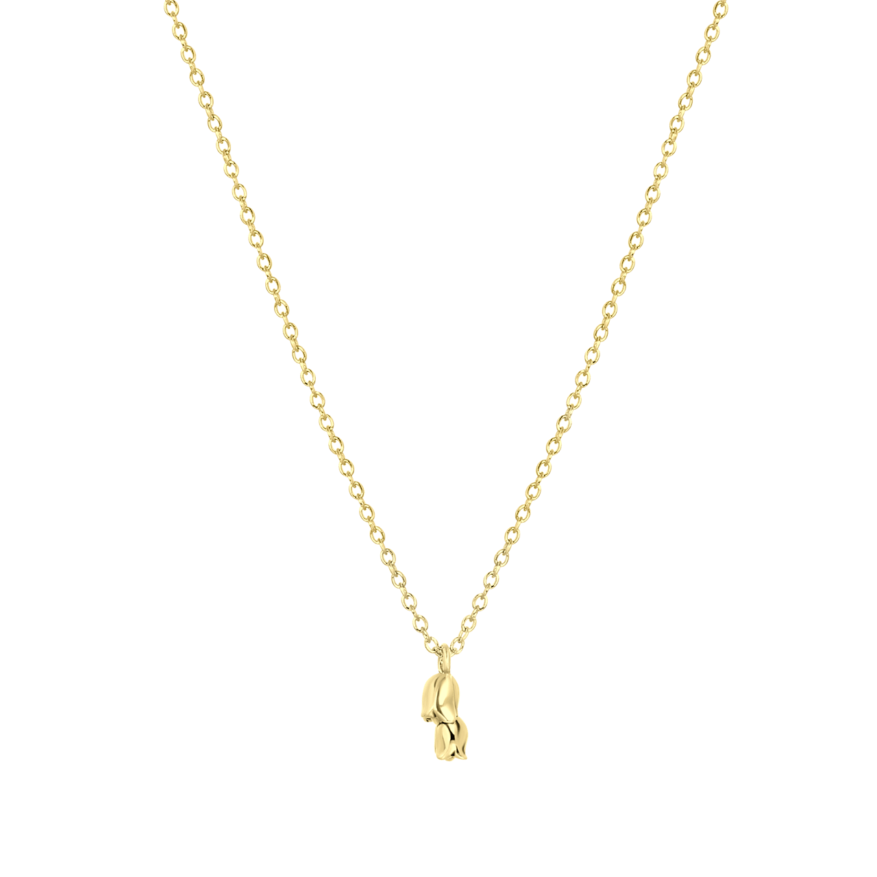 Zilveren goldplated ketting&hanger geboortebloem