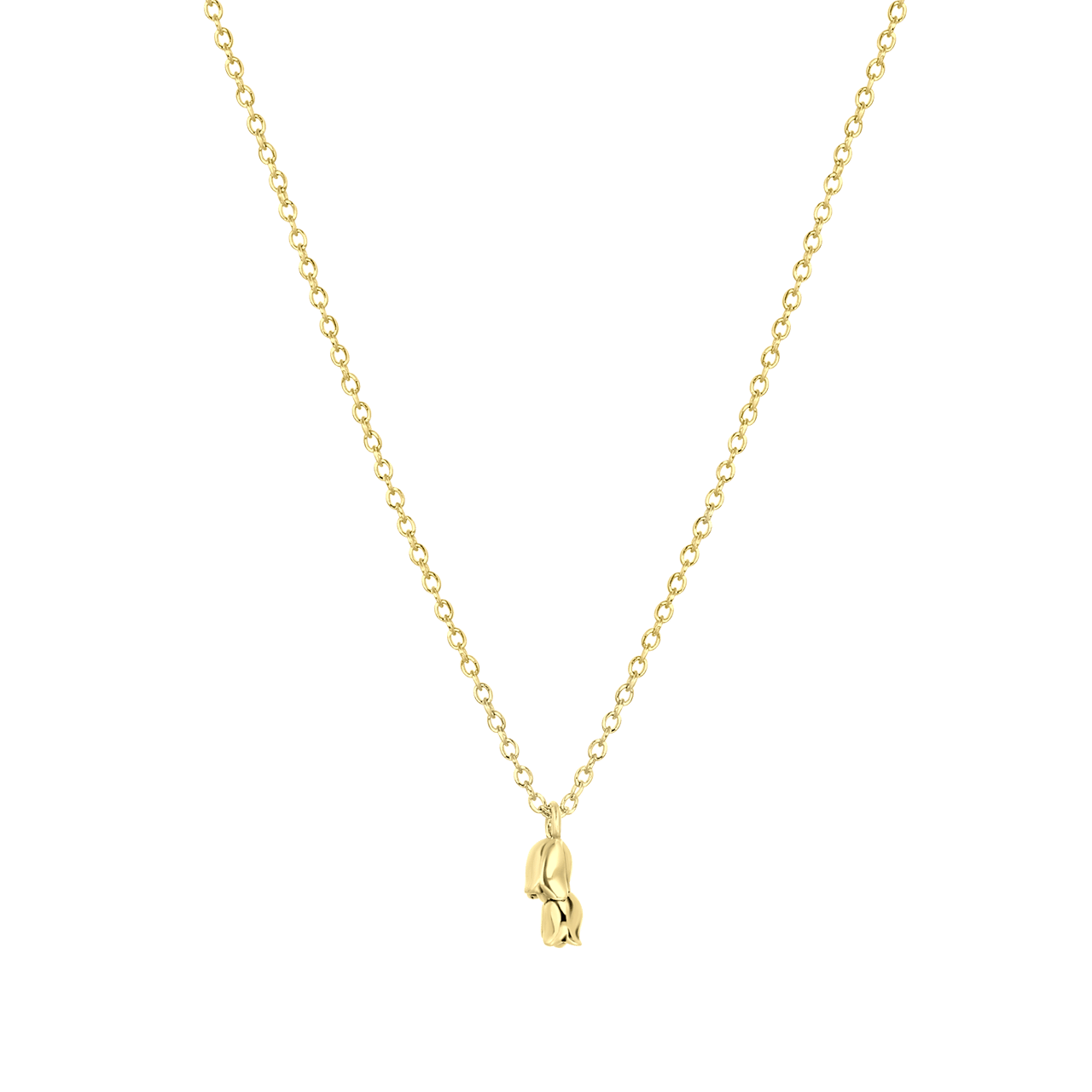 Zilveren goldplated ketting met hanger geboortebloem voor dames