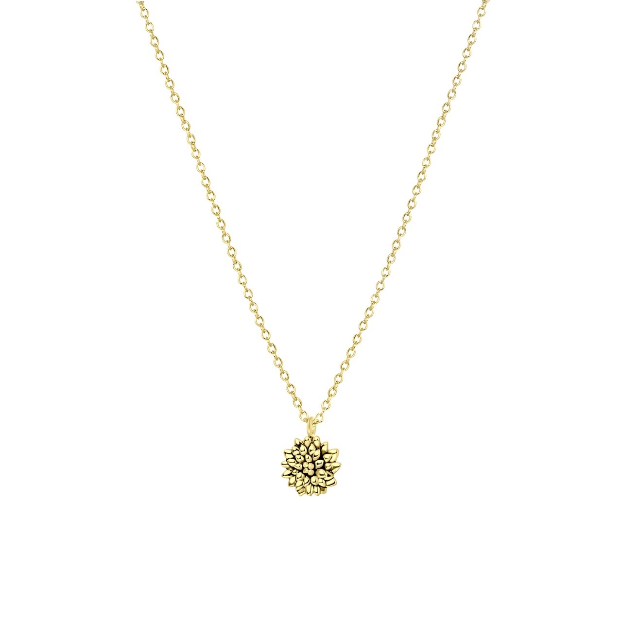 Halskette & Anhänger, 925 Silber, vergoldet, Geburtsblume