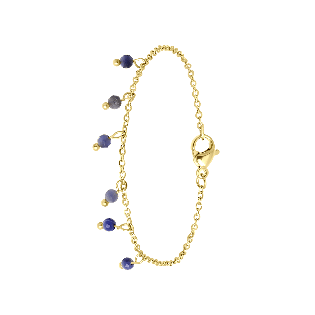 Stainless steel goldplated fantasiearmband met hanger met blauwadersteen voor dames