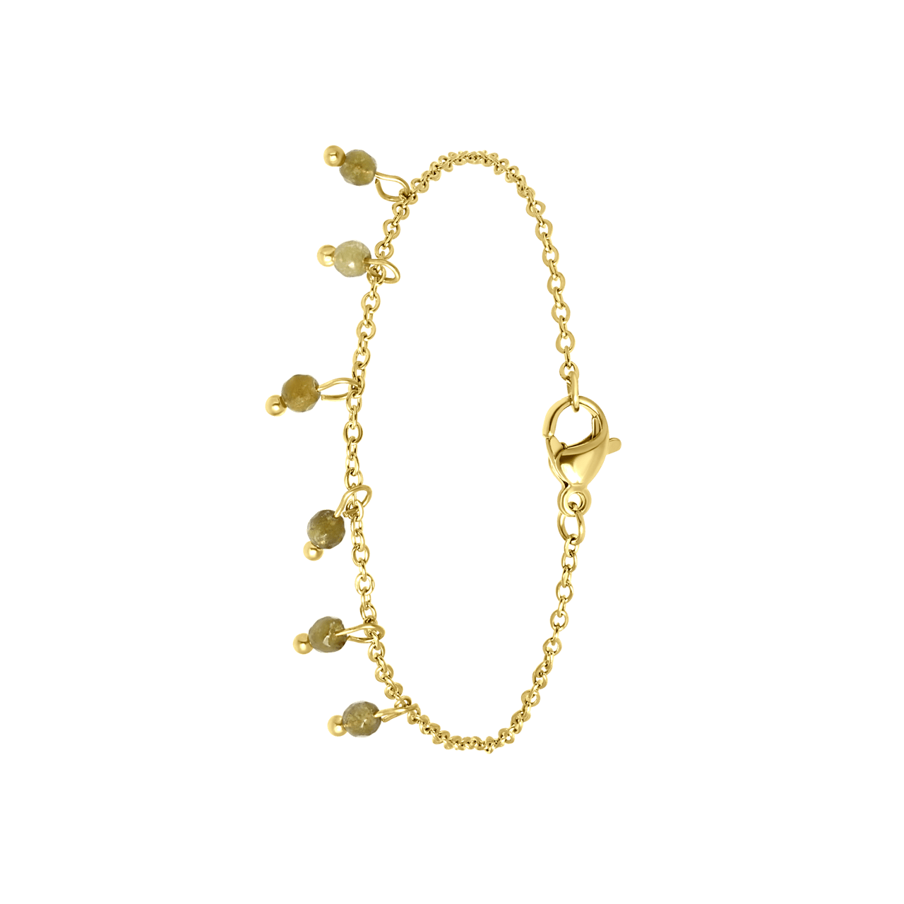 Stainless steel goldplated fantasiearmband met hanger groene labradoriet voor dames