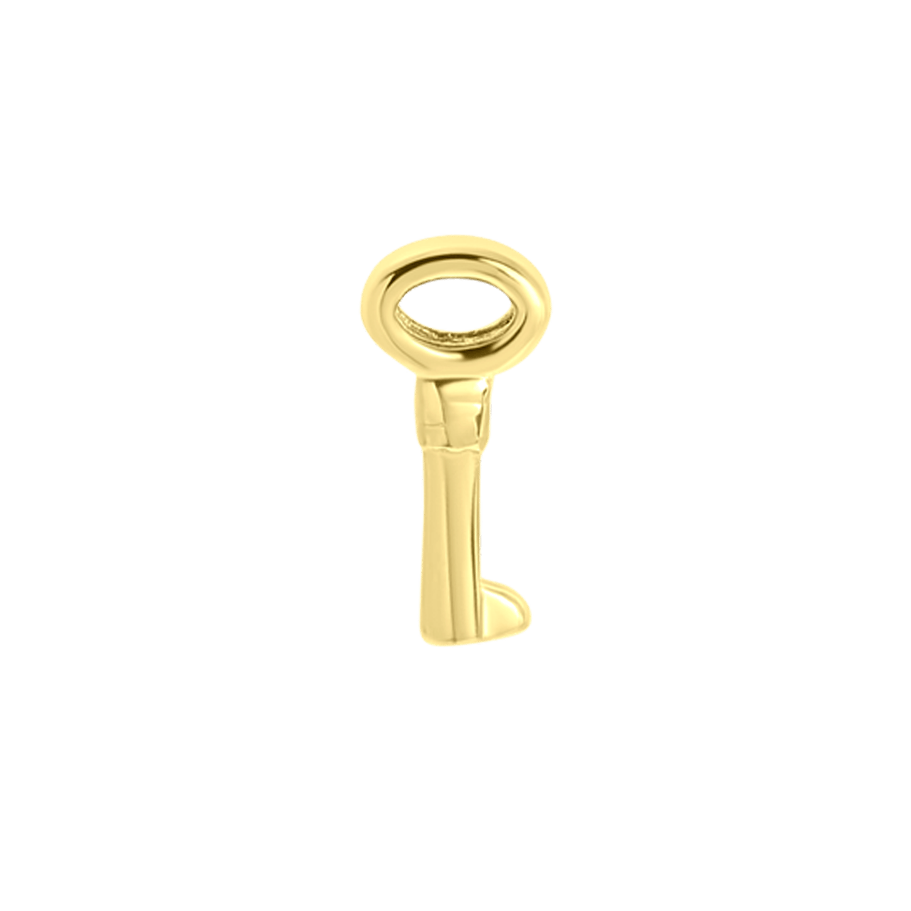 Stainless steel goldplated slider sleutel