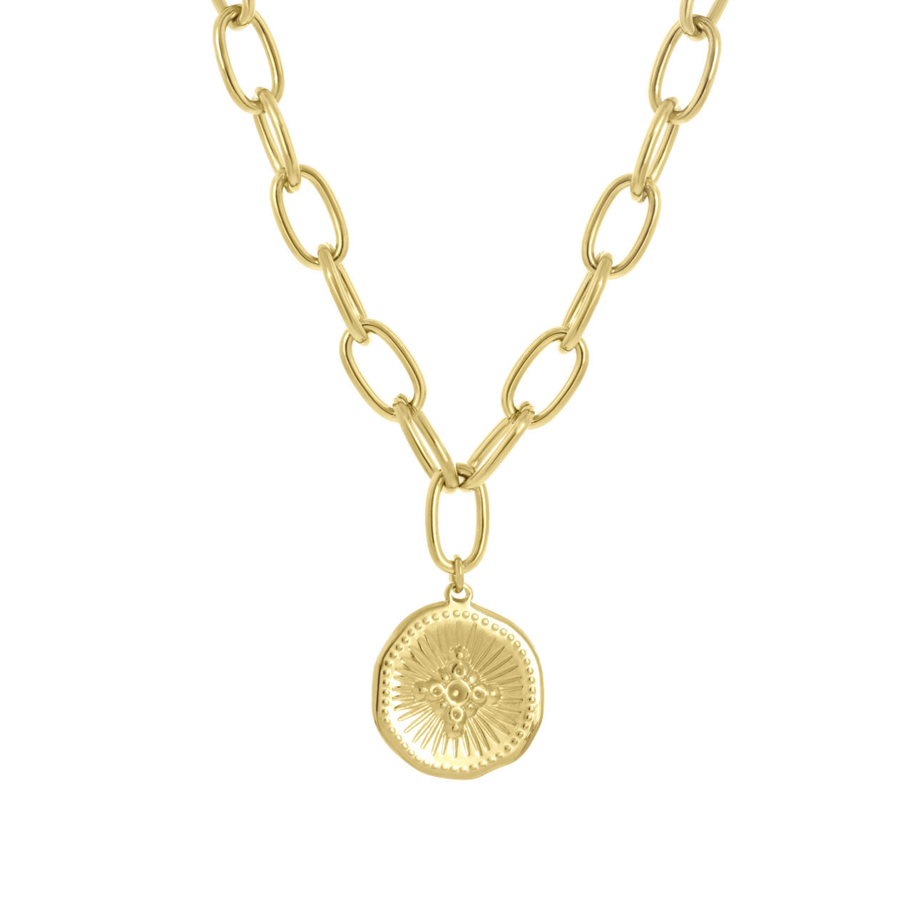 Stainless steel goldplated ketting met hanger munt voor dames