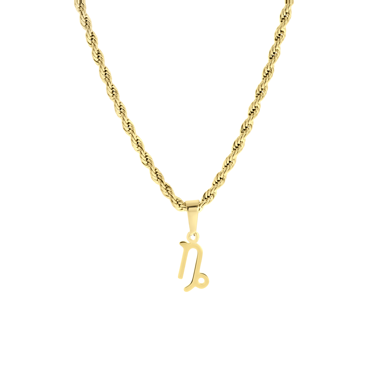 Stainless steel goldplated ketting&hanger sterrenbeeld