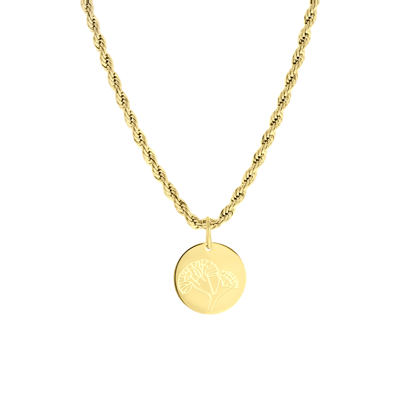 Stalen goldplated ketting met hanger munt voor dames
