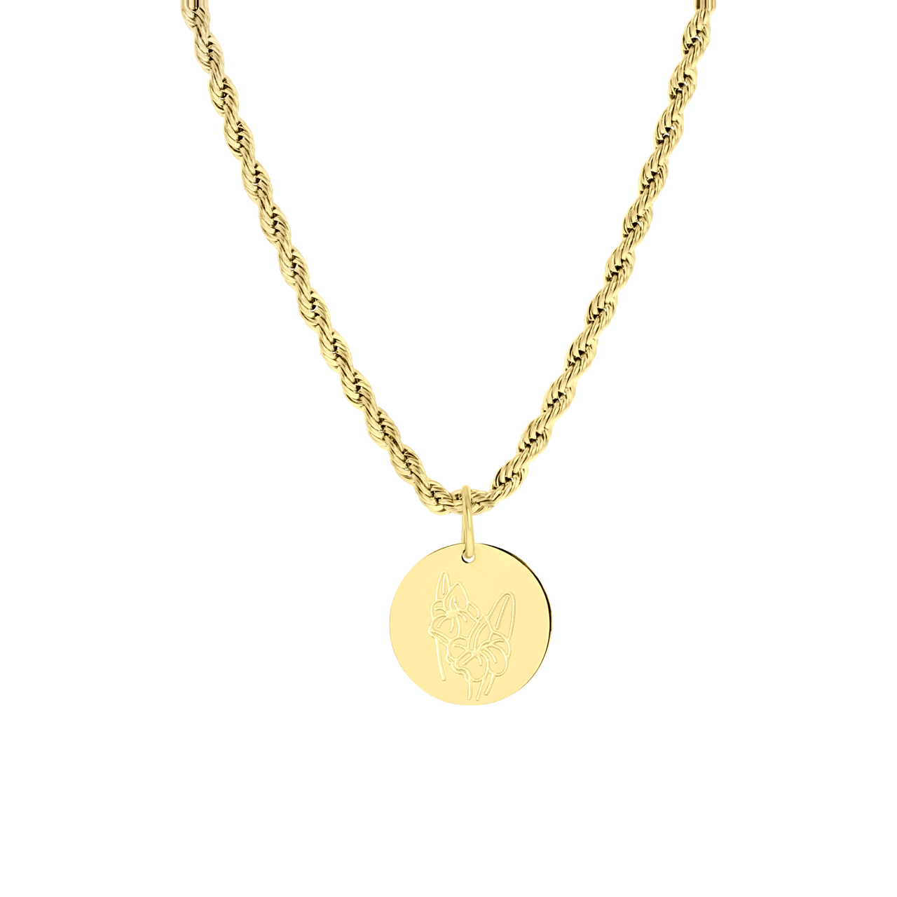 Stainless steel goldplated ketting&hanger geboortebloem