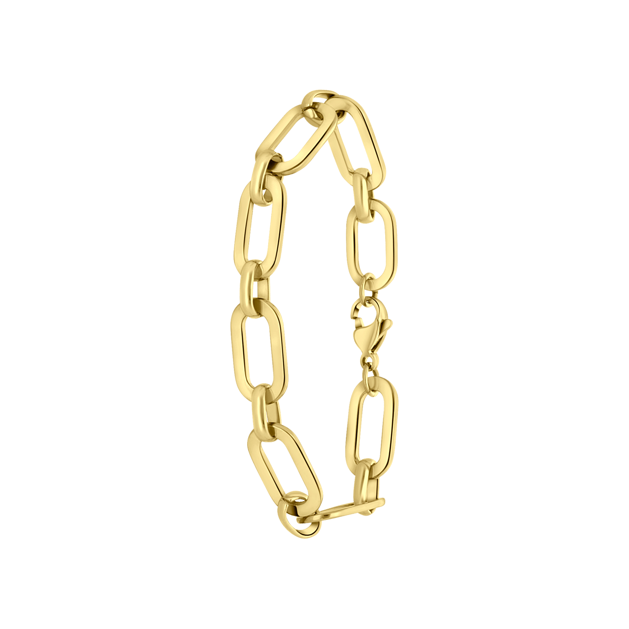 Stainless steel goldplated fantasiearmband voor dames