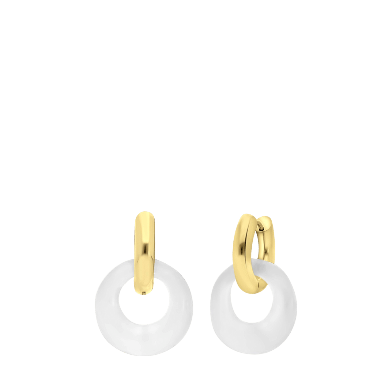 Stainless steel 18 karaat goldplated oorbellen Regine