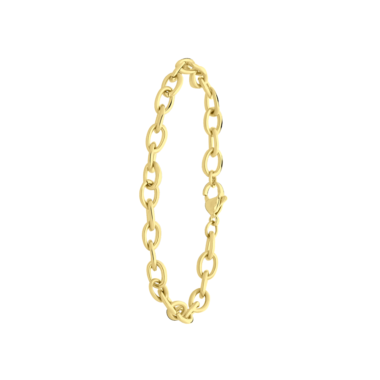 Stainless steel goldplated fantasiearmband voor dames