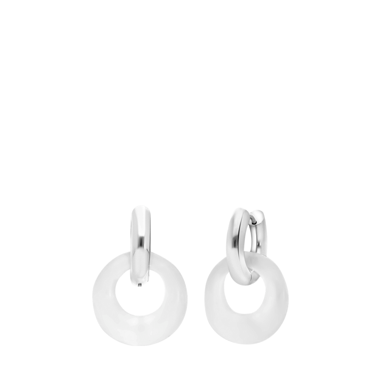 Stainless steel oorbellen Regine