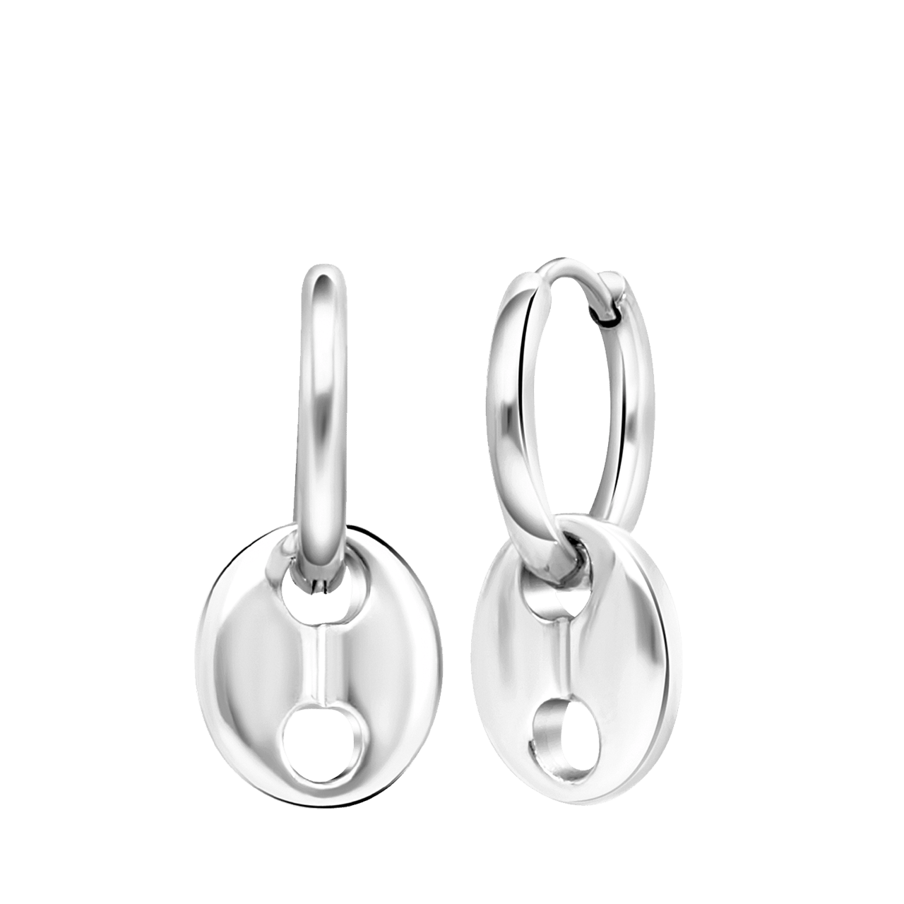 Stainless steel oorbellen Sebire