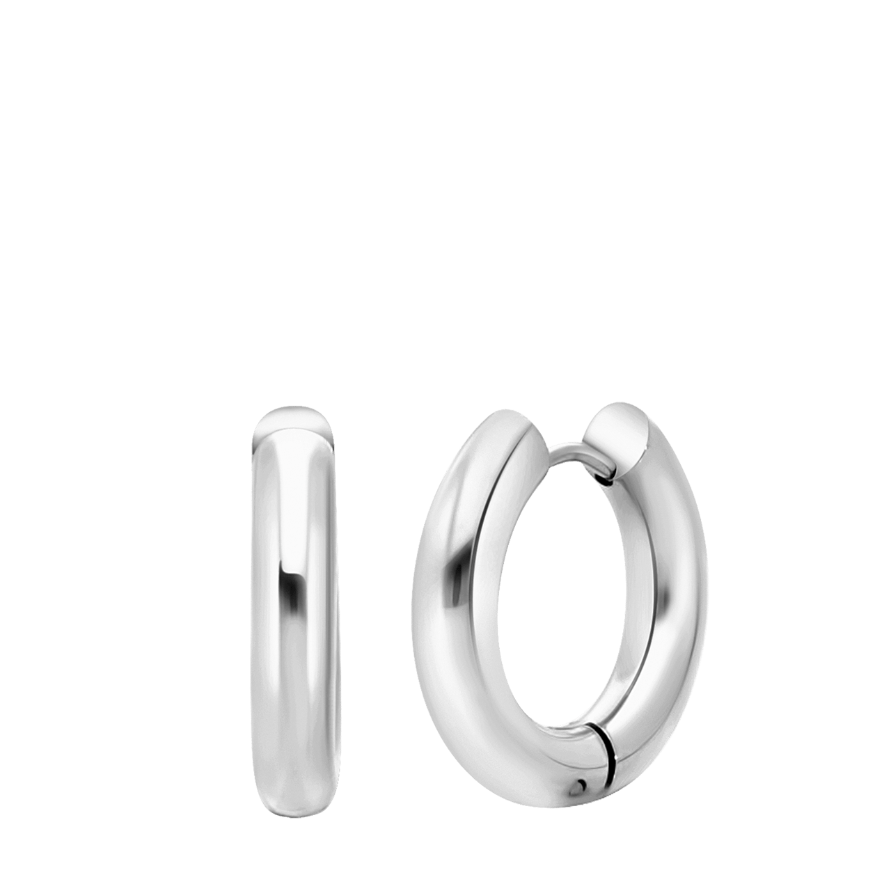 Camille stainless steel oorringen voor dames