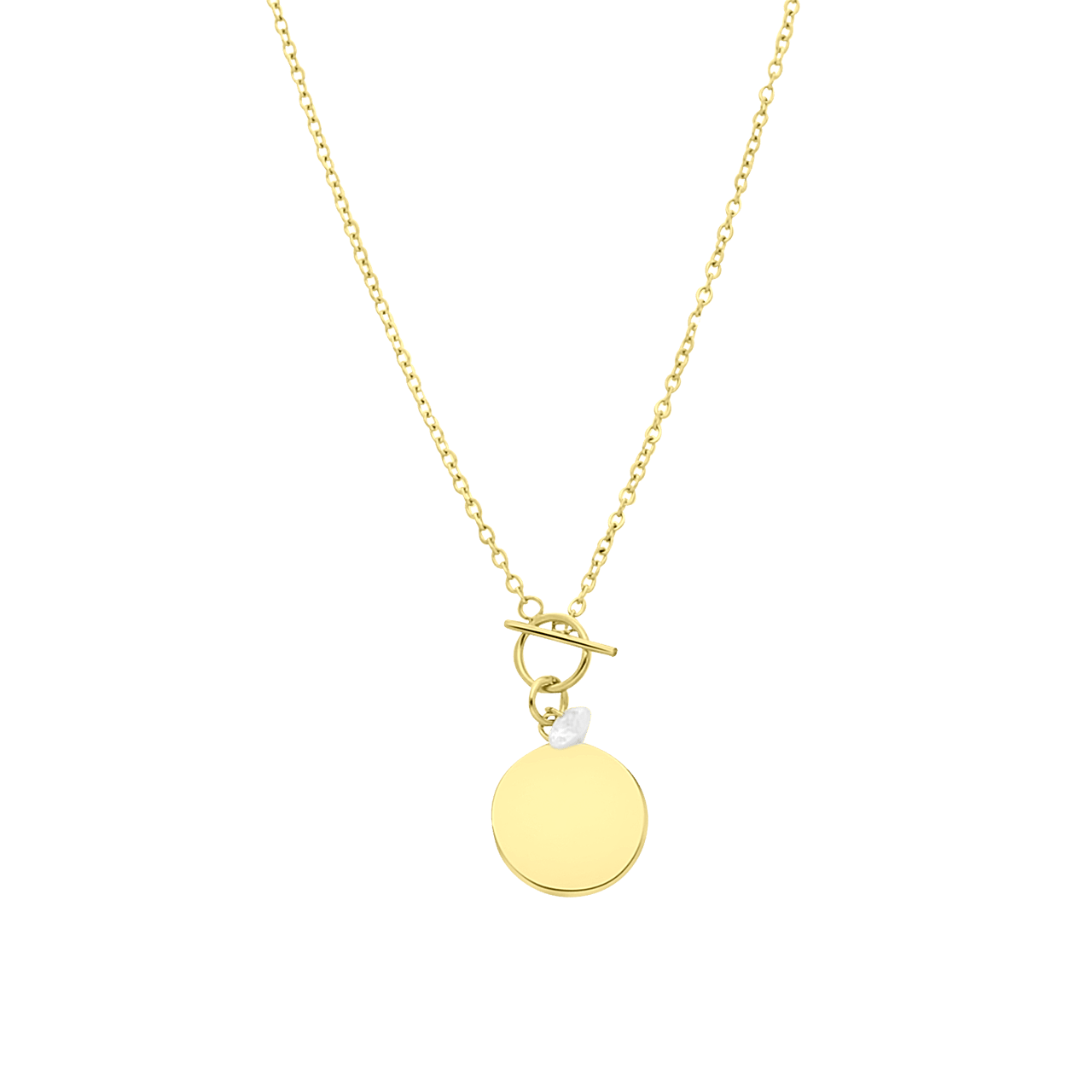 Stalen goldplated ketting disc