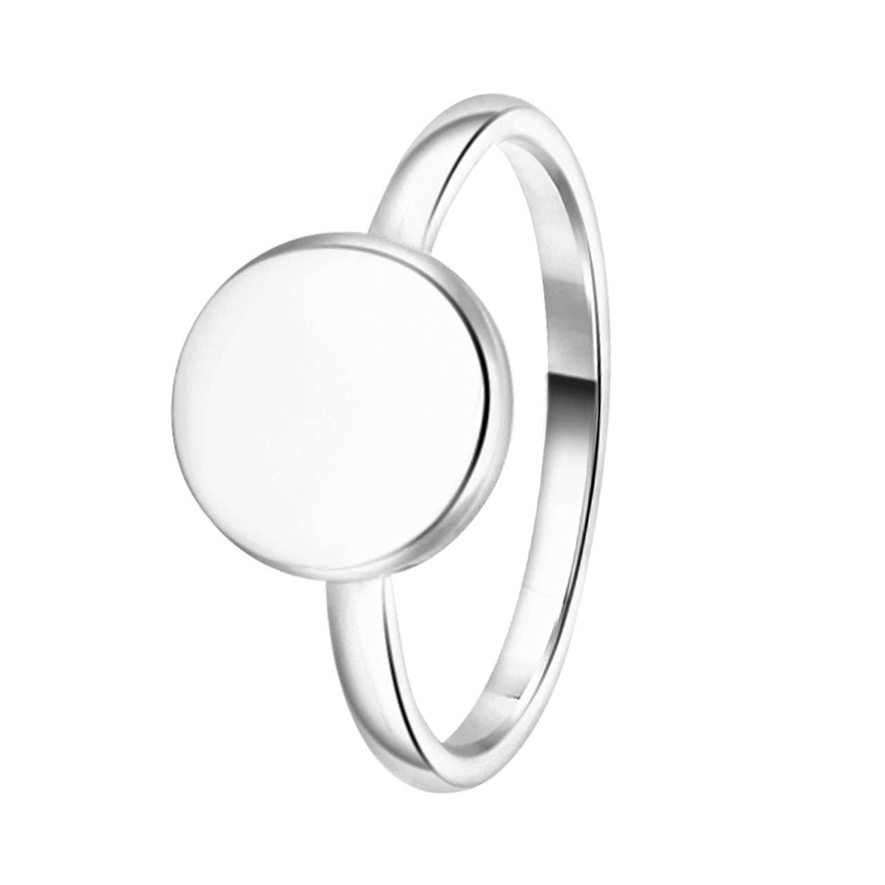 Stainless steel ring disc