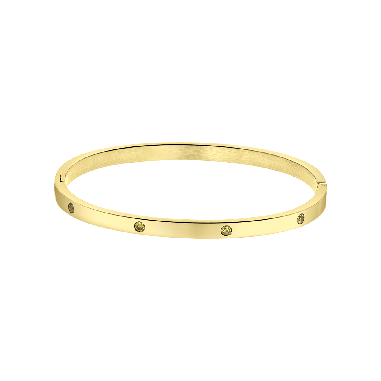 Stainless steel goldplated bangle met geboortesteen voor dames