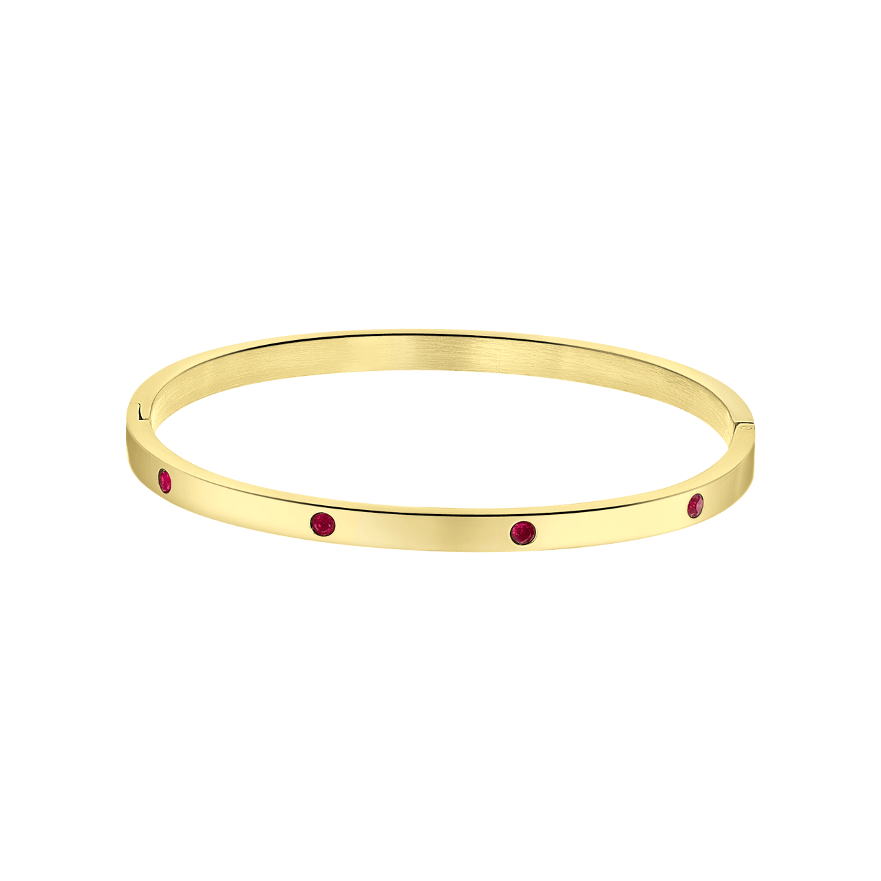 Stainless steel goldplated bangle met geboortesteen voor dames