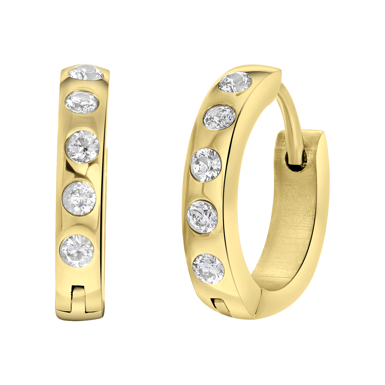 Stainless steel goldplated oorringen met geboortesteen voor dames