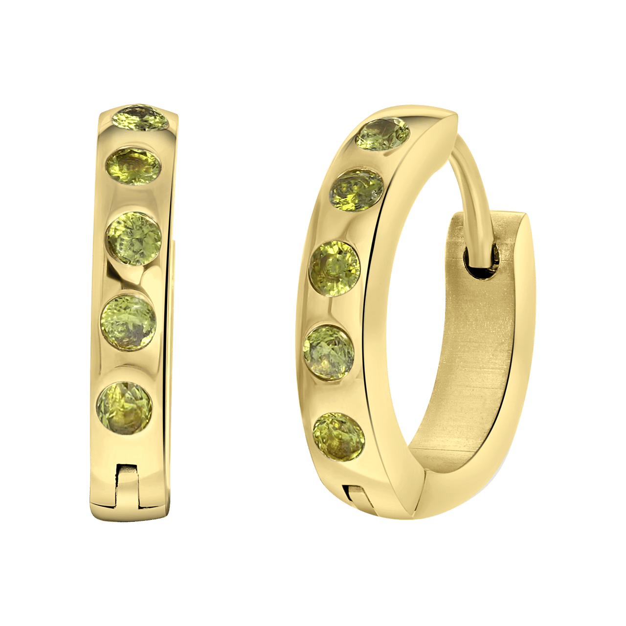Stainless steel goldplated oorbellen geboortestenen