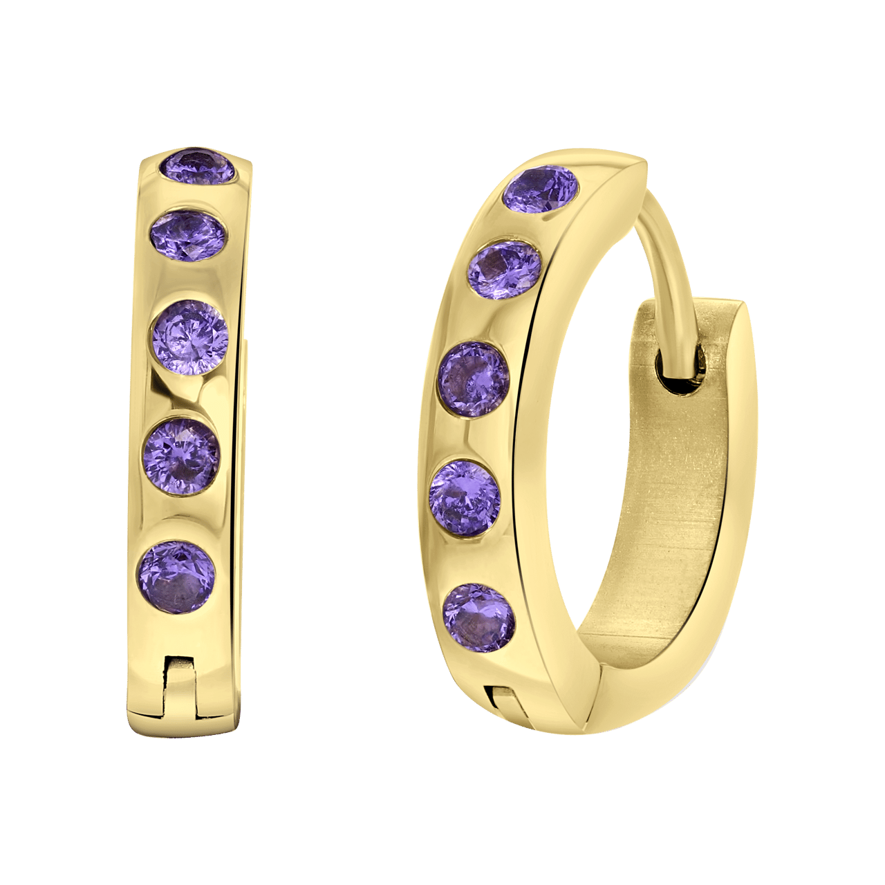 Stainless steel goldplated oorringen met geboortesteen voor dames