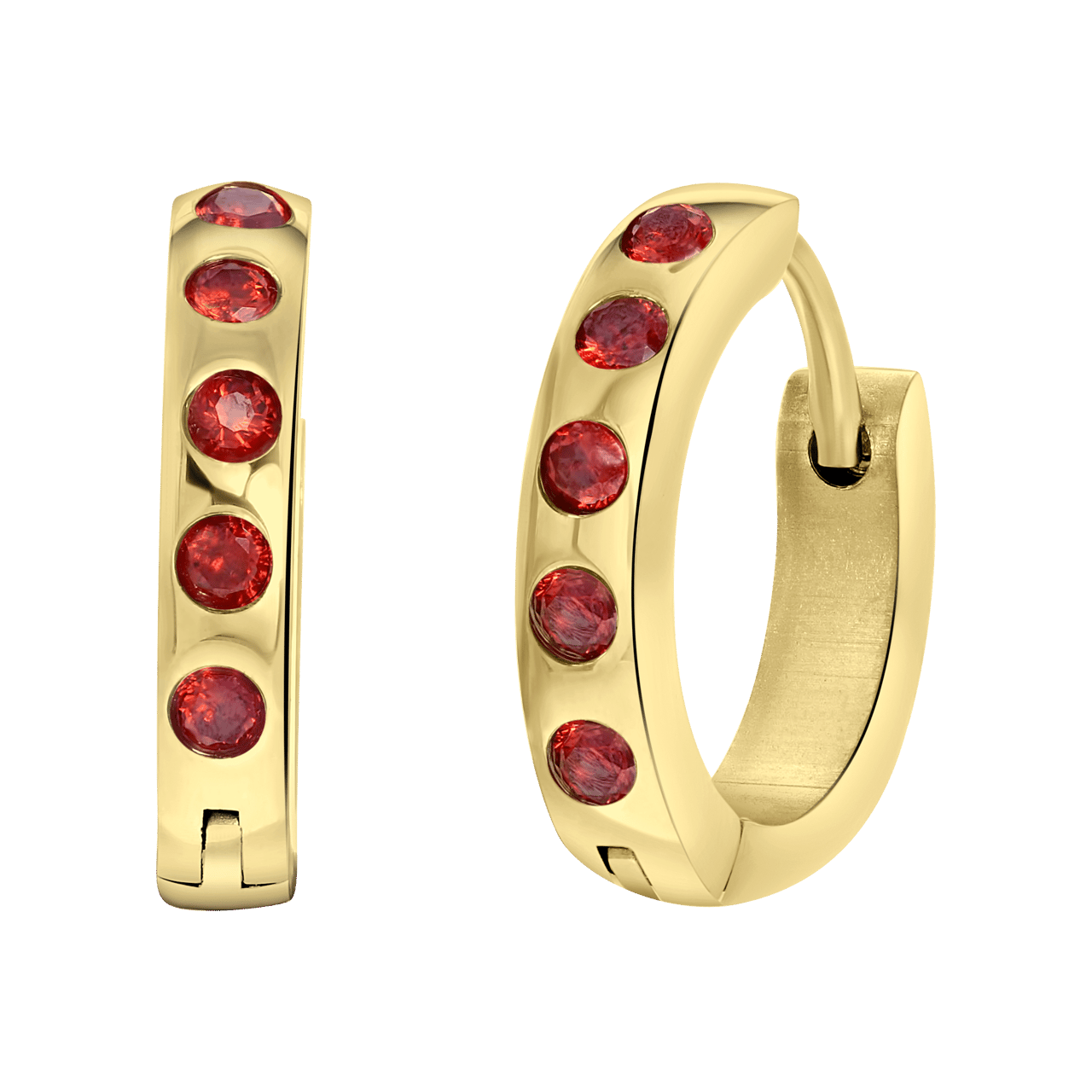 Stainless steel goldplated oorbellen geboortestenen