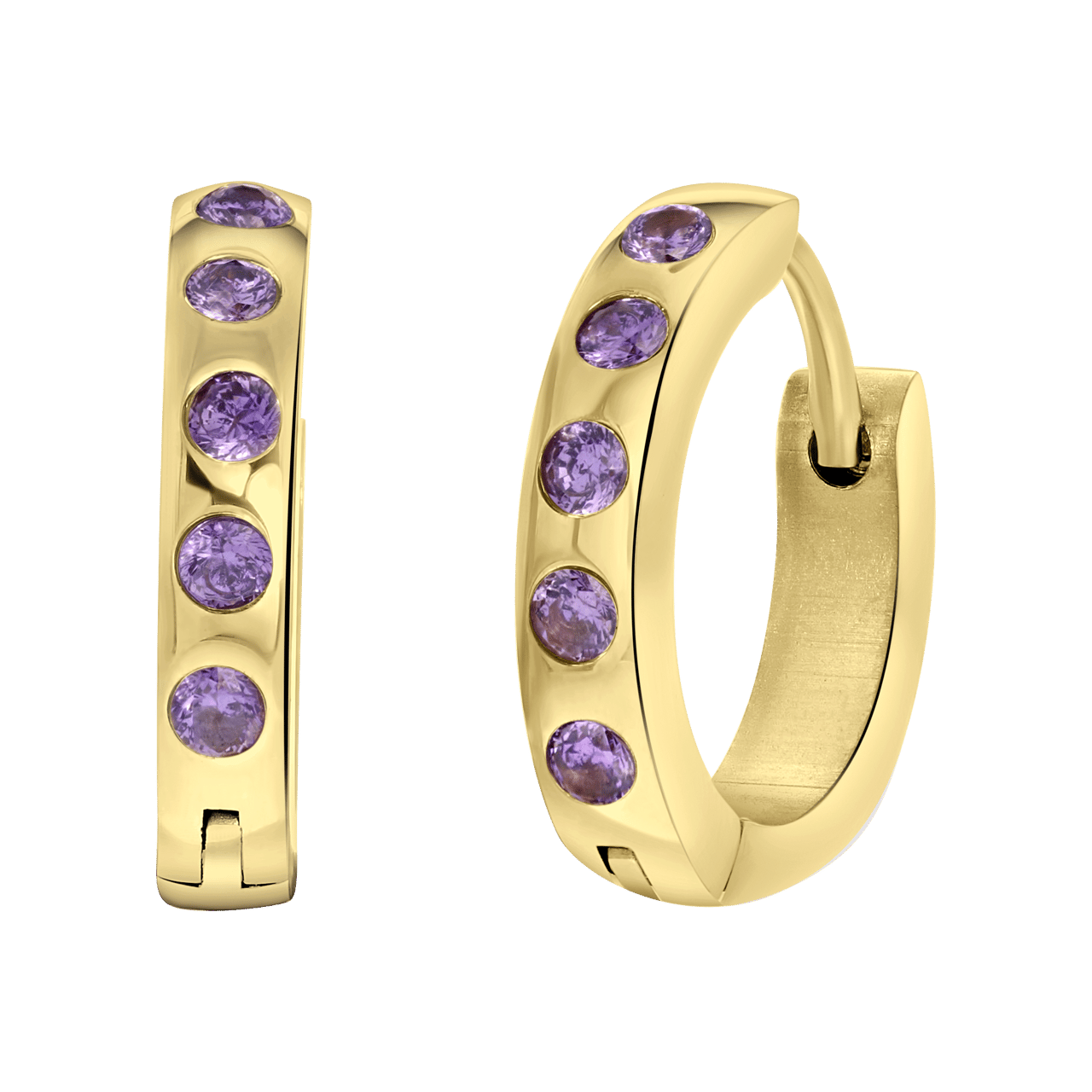 Stainless steel goldplated oorbellen geboortestenen