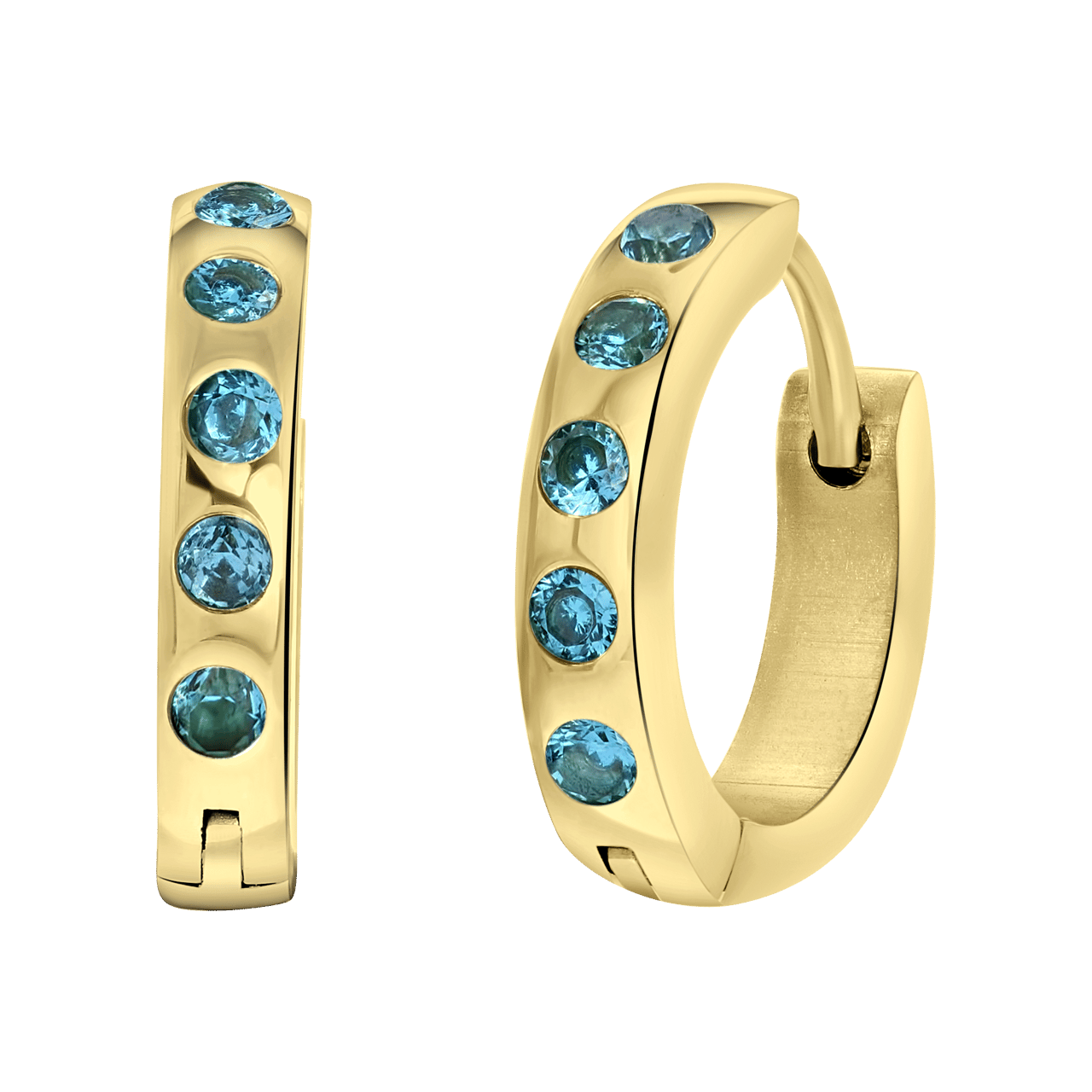 Stainless steel goldplated oorringen met geboortesteen voor dames