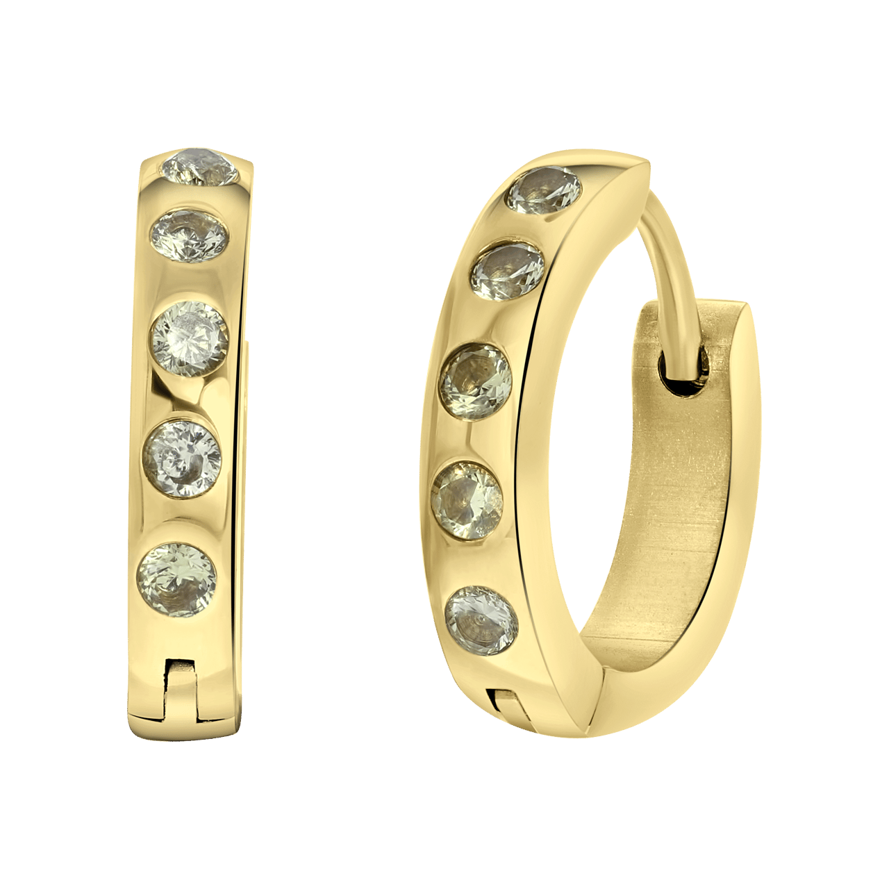 Stainless steel goldplated oorringen met geboortesteen voor dames