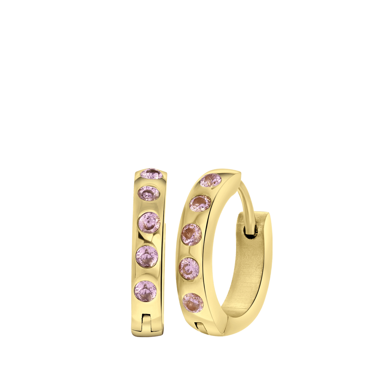 Stainless steel goldplated oorbellen geboortestenen