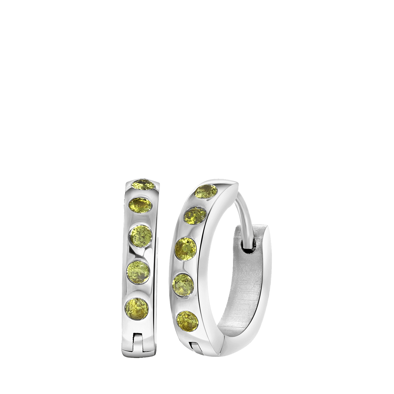 Stainless steel oorbellen geboortestenen