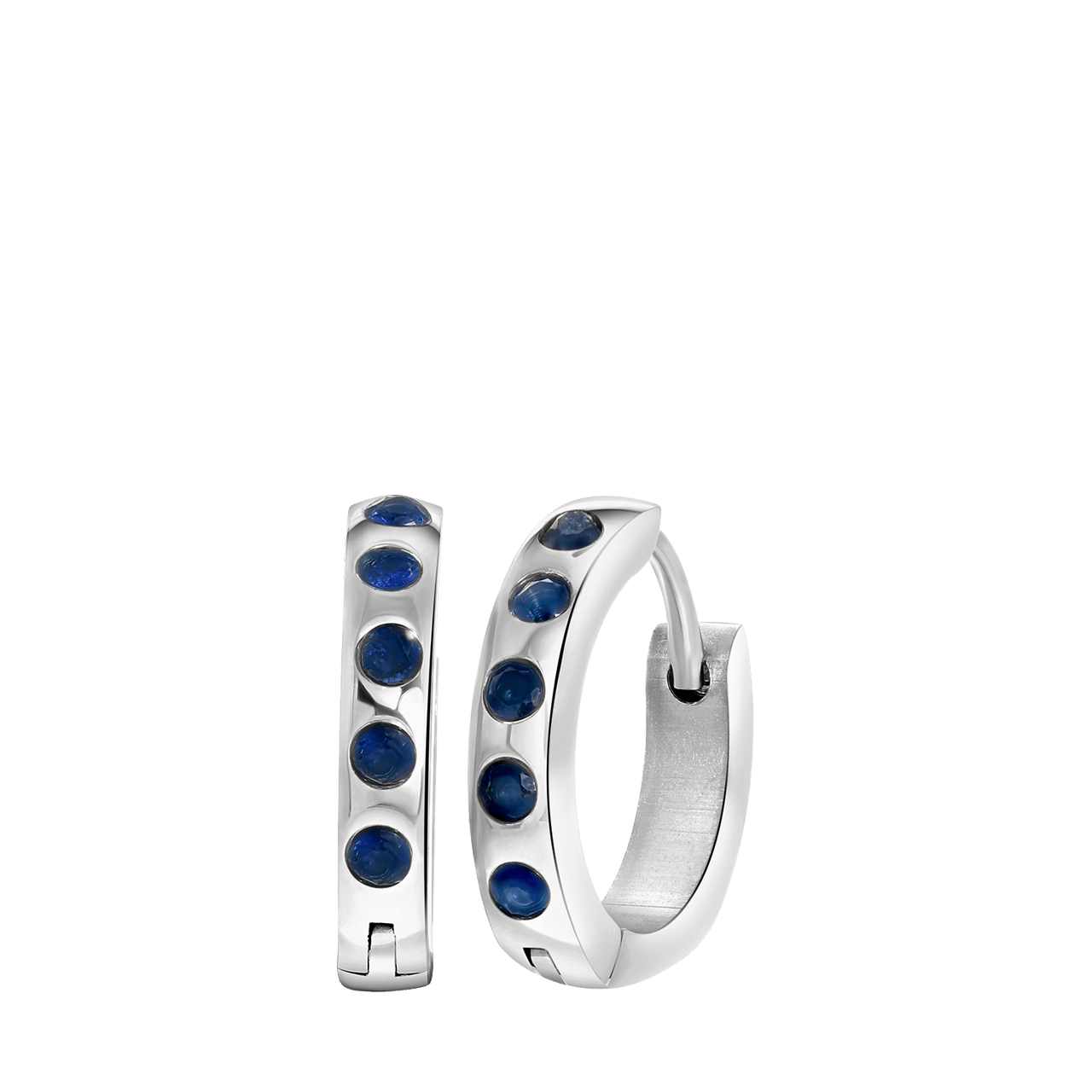 Stainless steel oorbellen geboortestenen