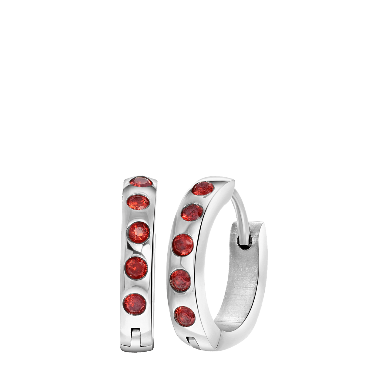 Stainless steel oorbellen geboortestenen