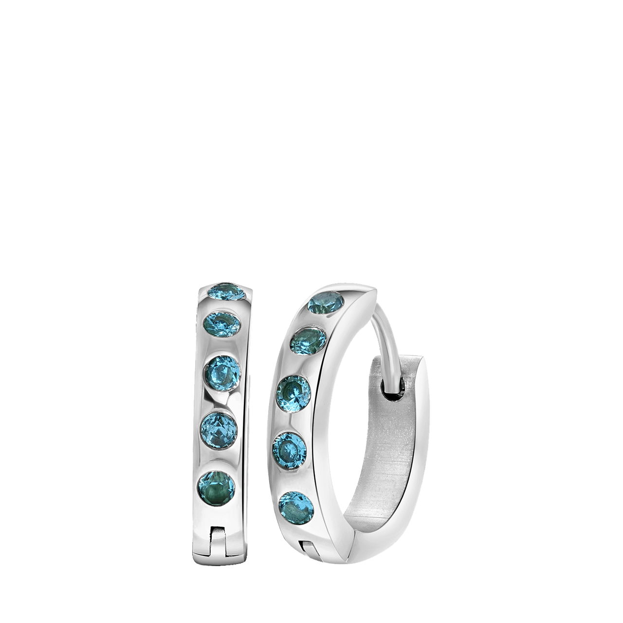 Stainless steel oorbellen geboortestenen