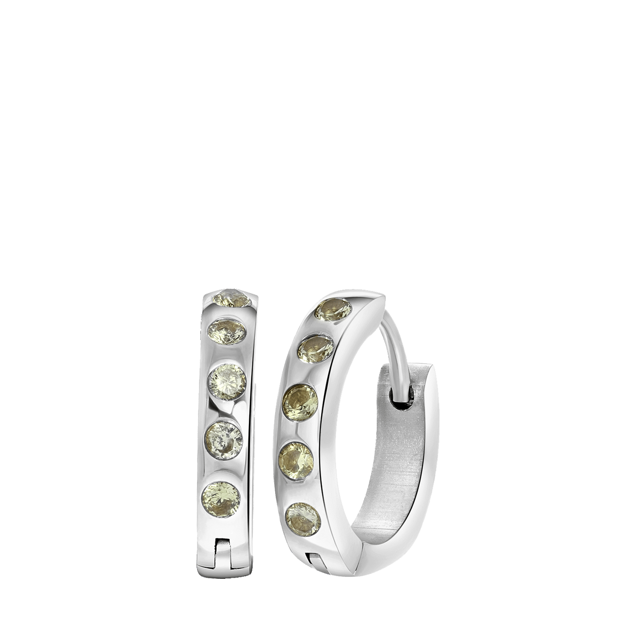 Stainless steel oorbellen geboortestenen