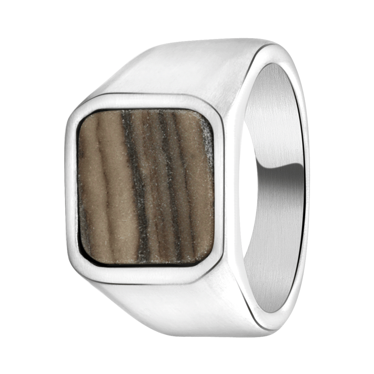Gerecycled stainless steel heren zegelring picasso jasper