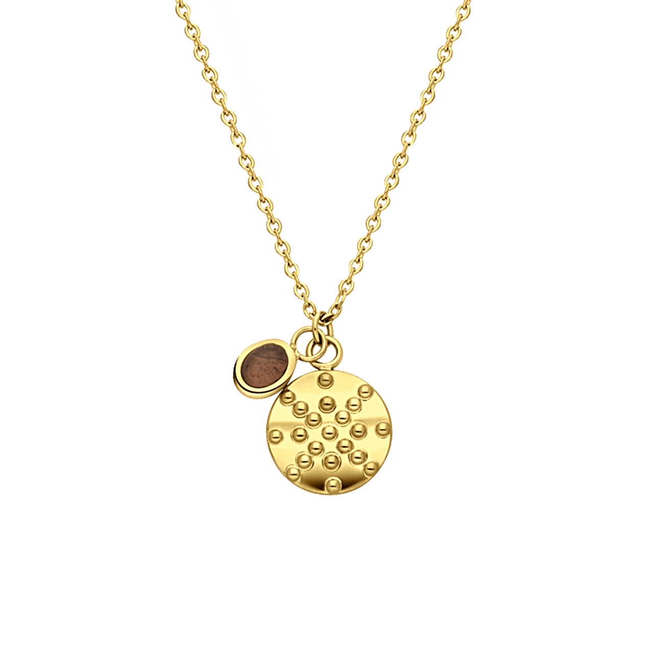 Stalen goldplated ketting met munt met amethyst voor dames