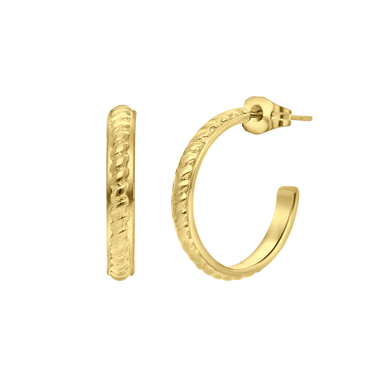 Stainless steel goldplated oorringen voor dames