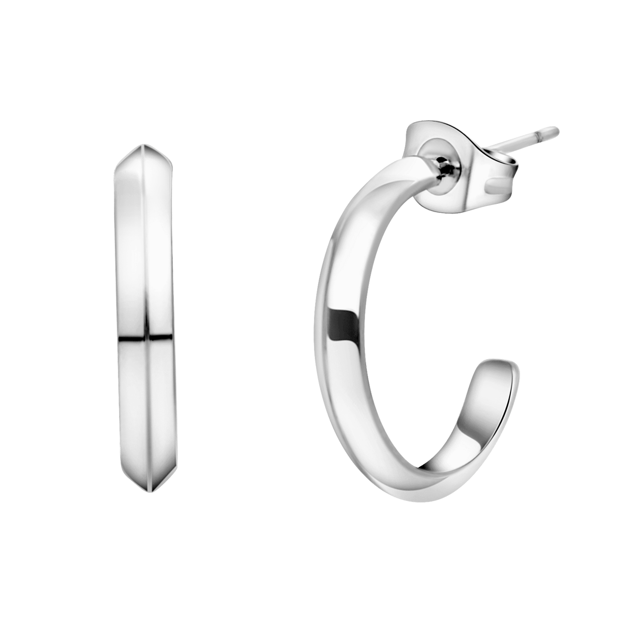 Stainless steel oorringen