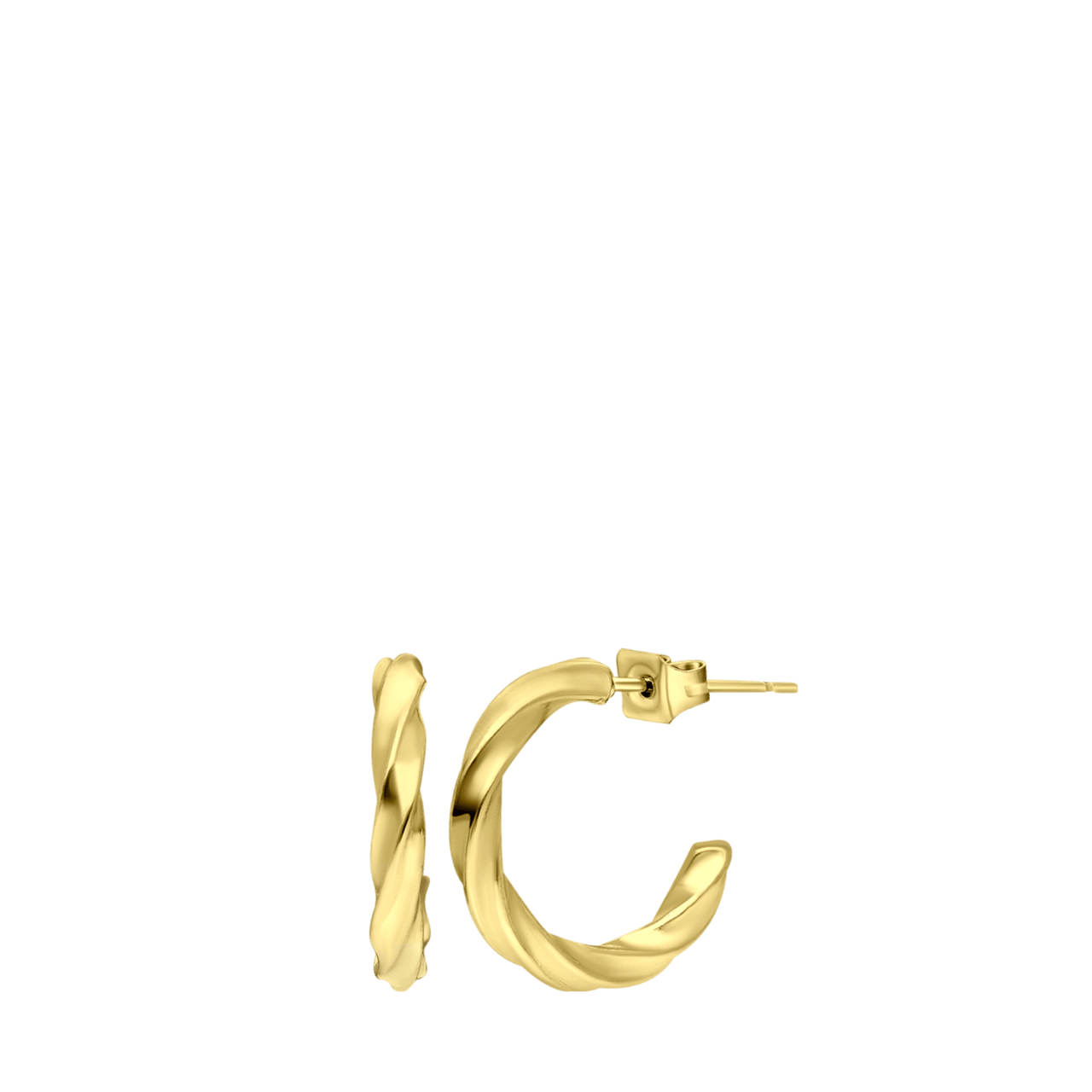 Stainless steel goldplated oorringen voor dames