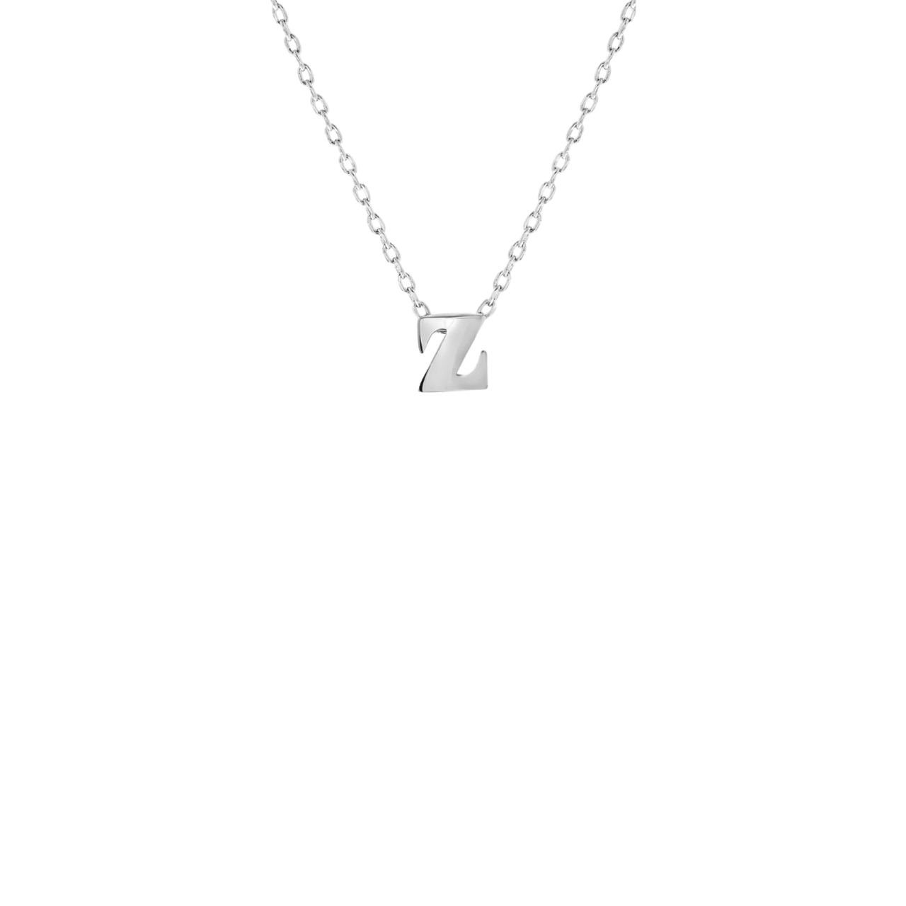 Stainless steel ketting met hanger letter