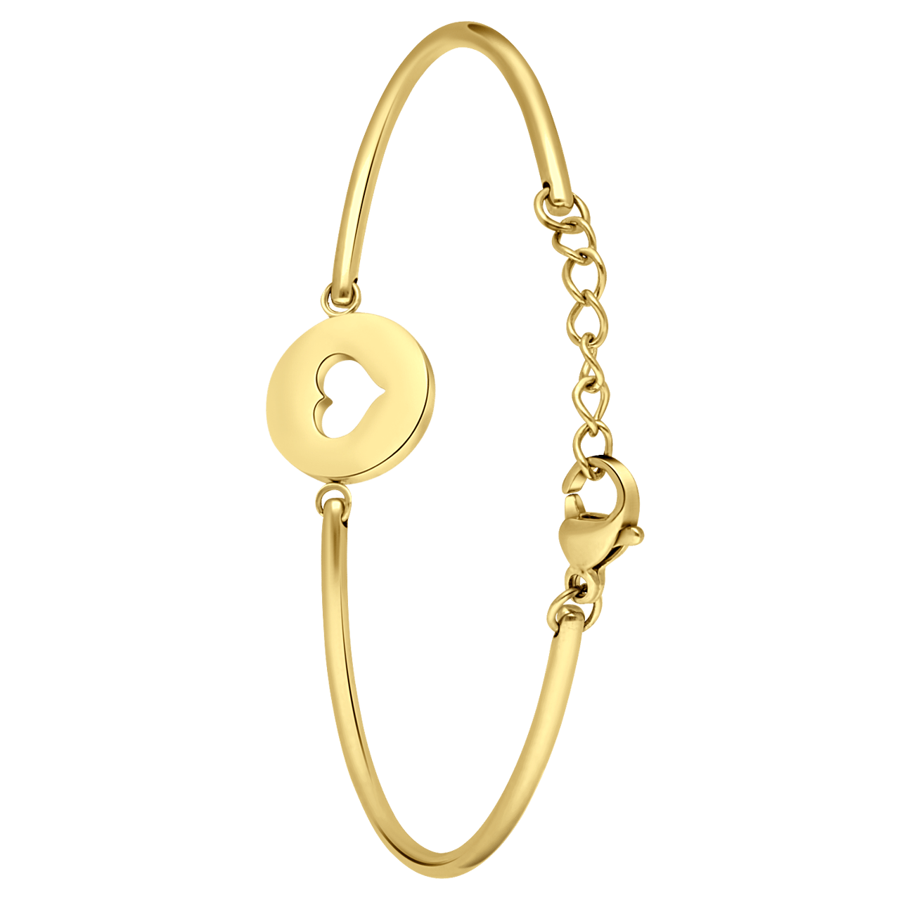 Stainless steel goldplated fantasiearmband met hanger voor dames