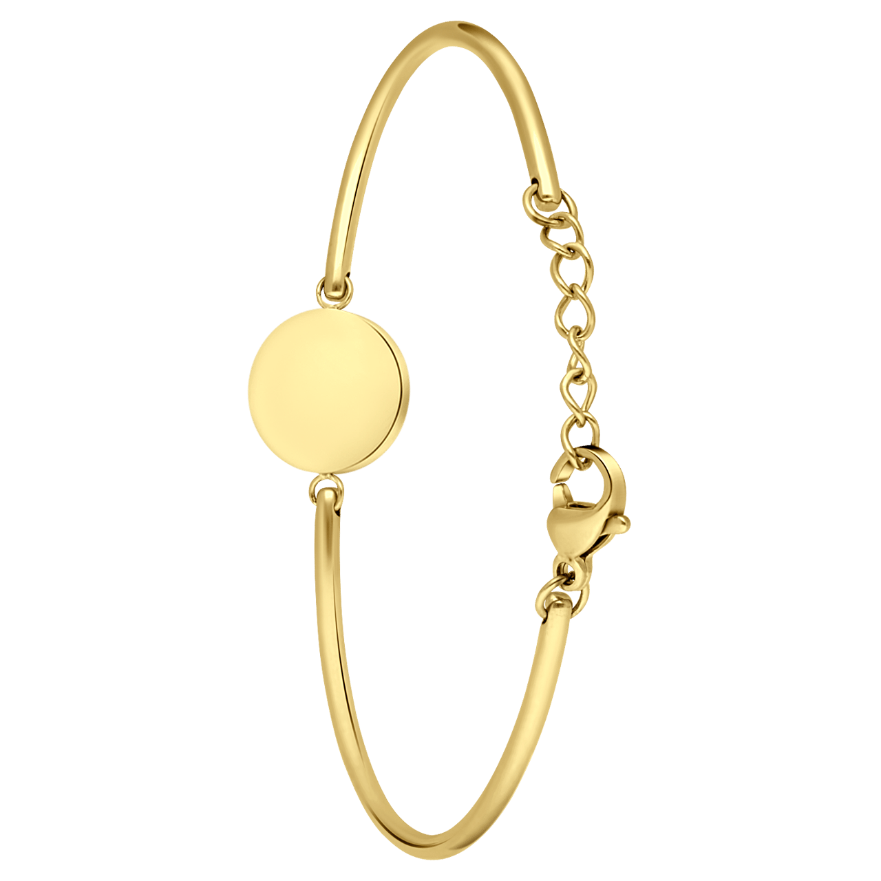 Stalen goldplated armband met munt
