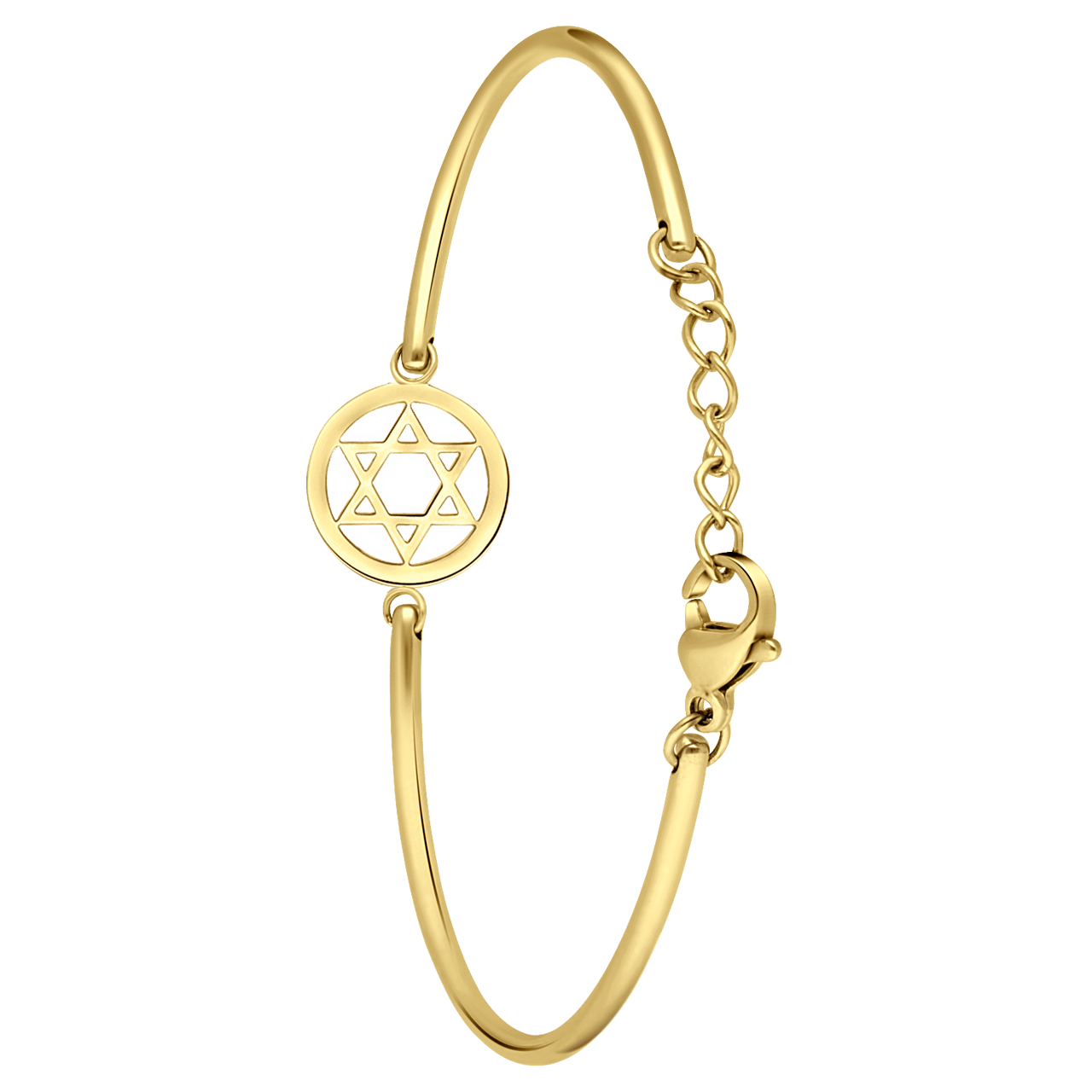 Stalen goldplated fantasiearmband munt voor dames