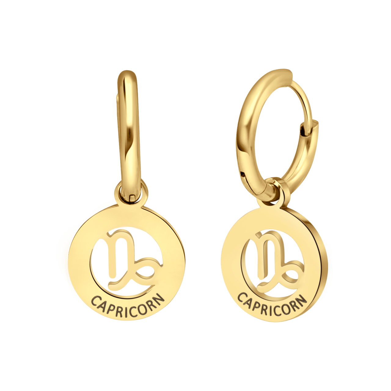 Stainless steel goldplated oorringen sterrenbeeld Steenbok voor dames