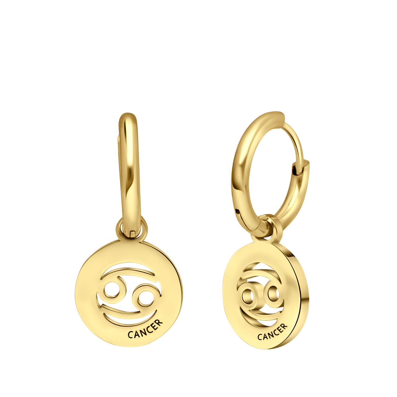 Stainless steel goldplated oorbellen met sterrenbeeld kreeft