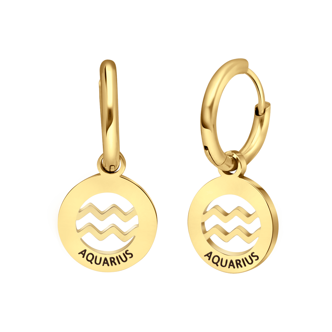 Stainless steel goldplated oorbellen met sterrenbeeld waterman