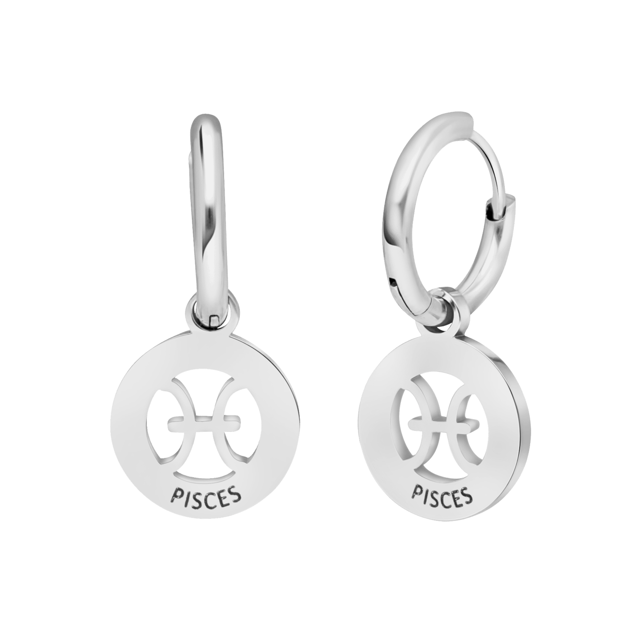 Stainless steel oorbellen met sterrenbeeld vissen