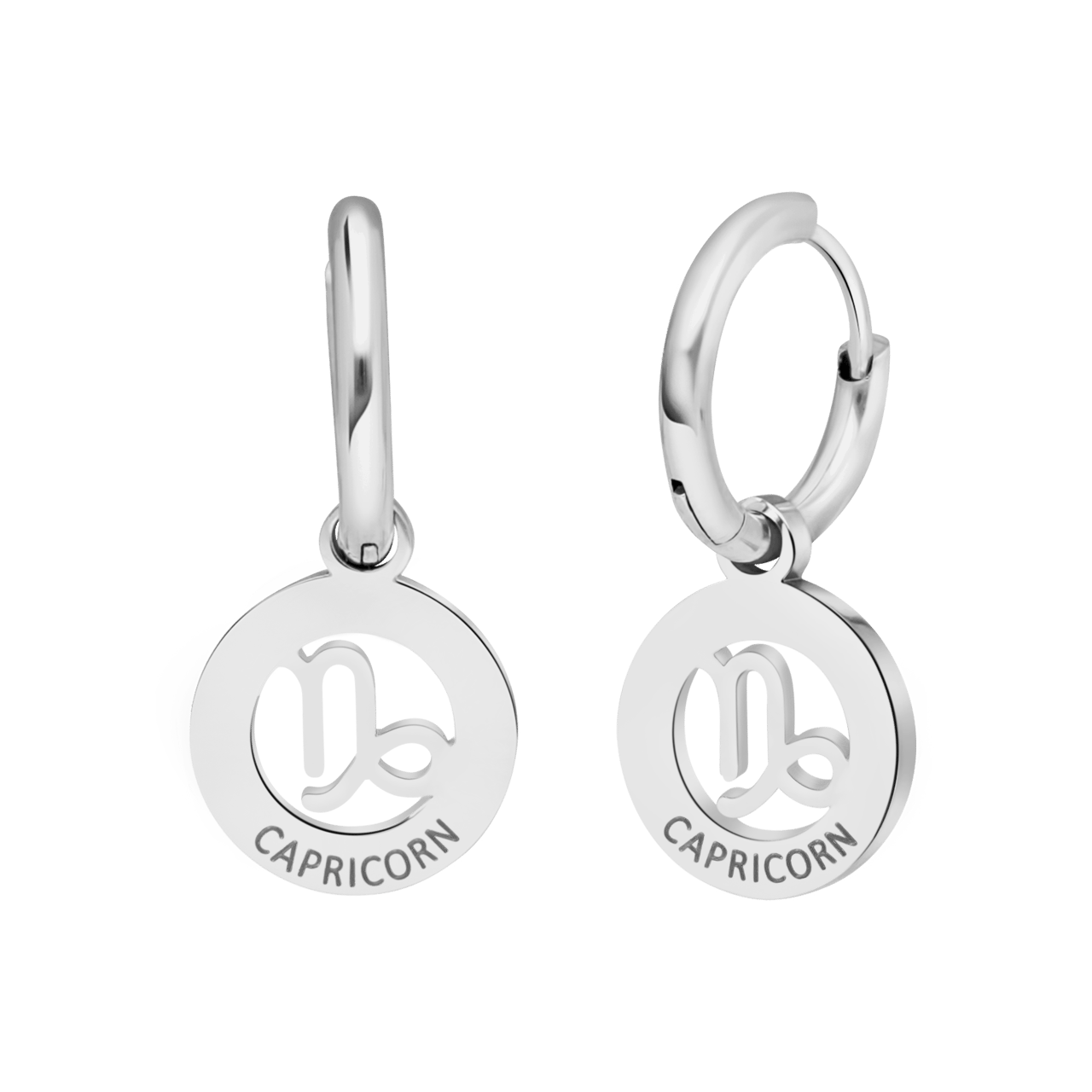 Stainless steel oorbellen met sterrenbeeld steenbok